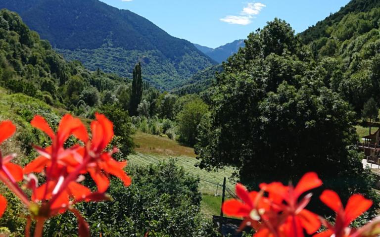 Alojamiento Rural Ostau Era Nheuada Aubert 外观 照片